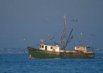 North Sea Fishing Trawler.